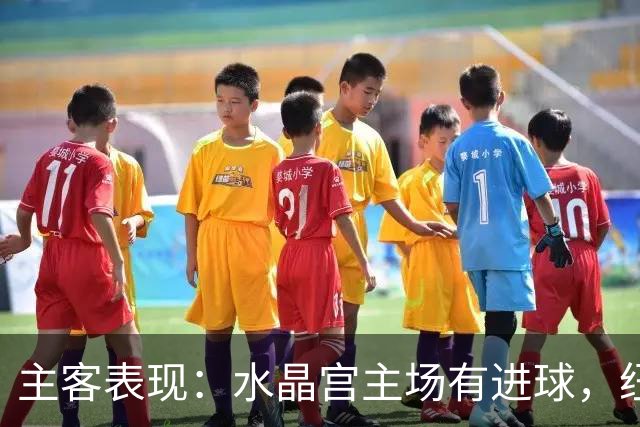 主客表现：水晶宫主场有进球，纽卡近期客场起伏明显