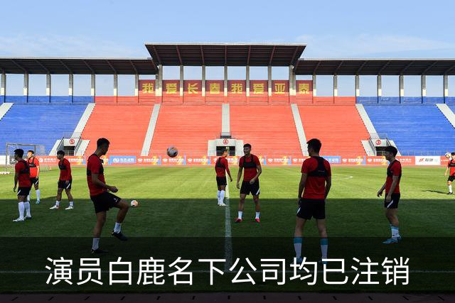 演员白鹿名下公司均已注销