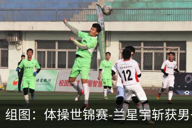 组图：体操世锦赛-兰星宇斩获男子吊环冠军